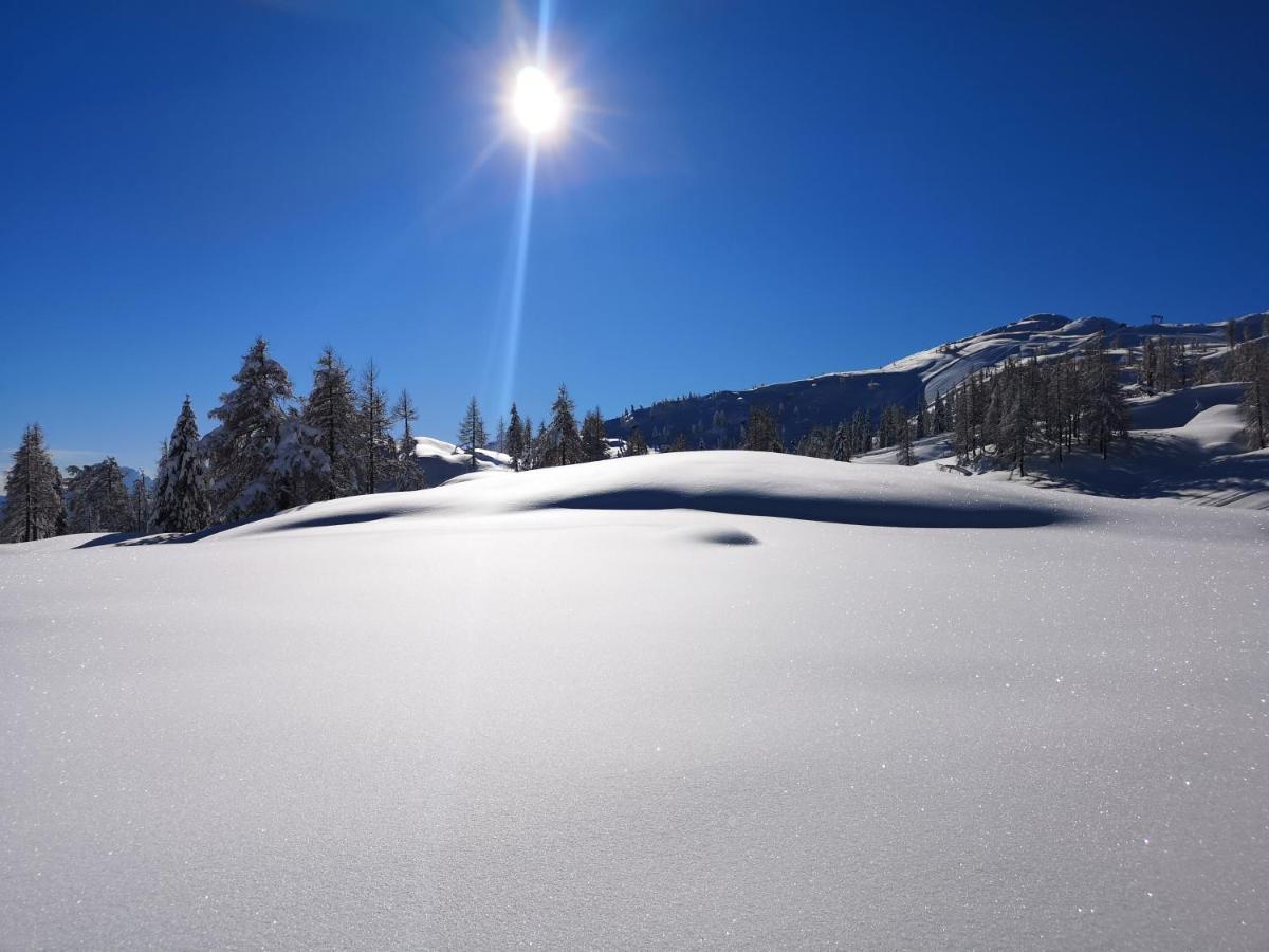 Ski&Bike Nassfeld Apartments Hermagor-Pressegger See Εξωτερικό φωτογραφία