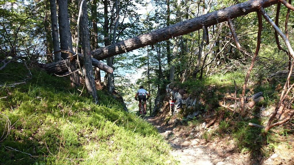 Ski&Bike Nassfeld Apartments Hermagor-Pressegger See Εξωτερικό φωτογραφία