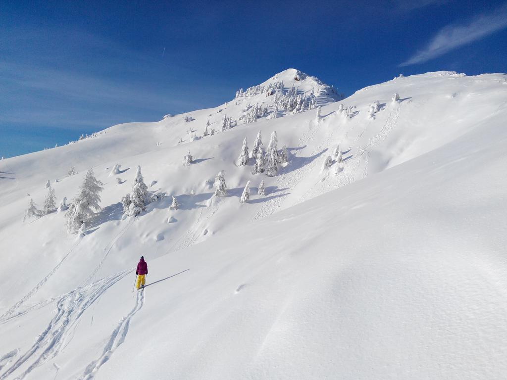 Ski&Bike Nassfeld Apartments Hermagor-Pressegger See Εξωτερικό φωτογραφία